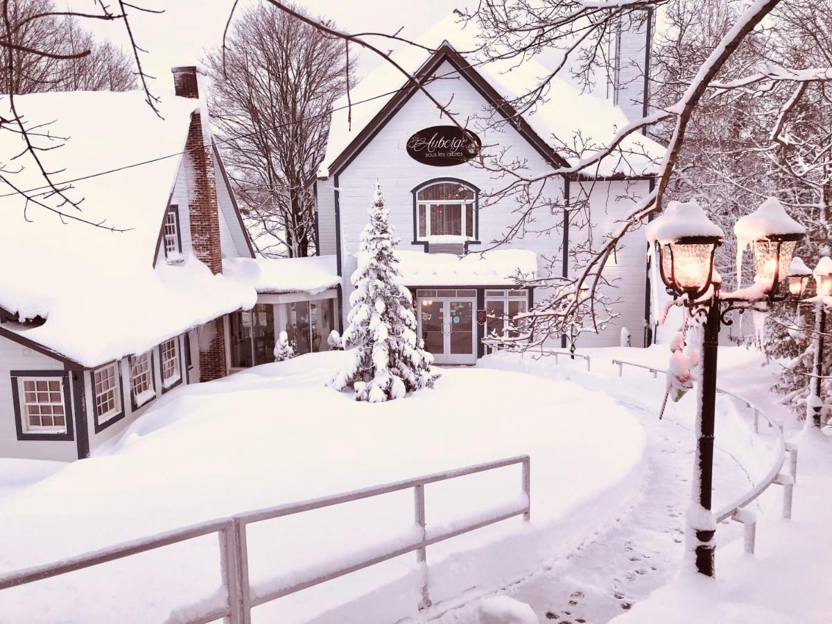 Auberge Sous Les Arbres Gaspe Bagian luar foto
