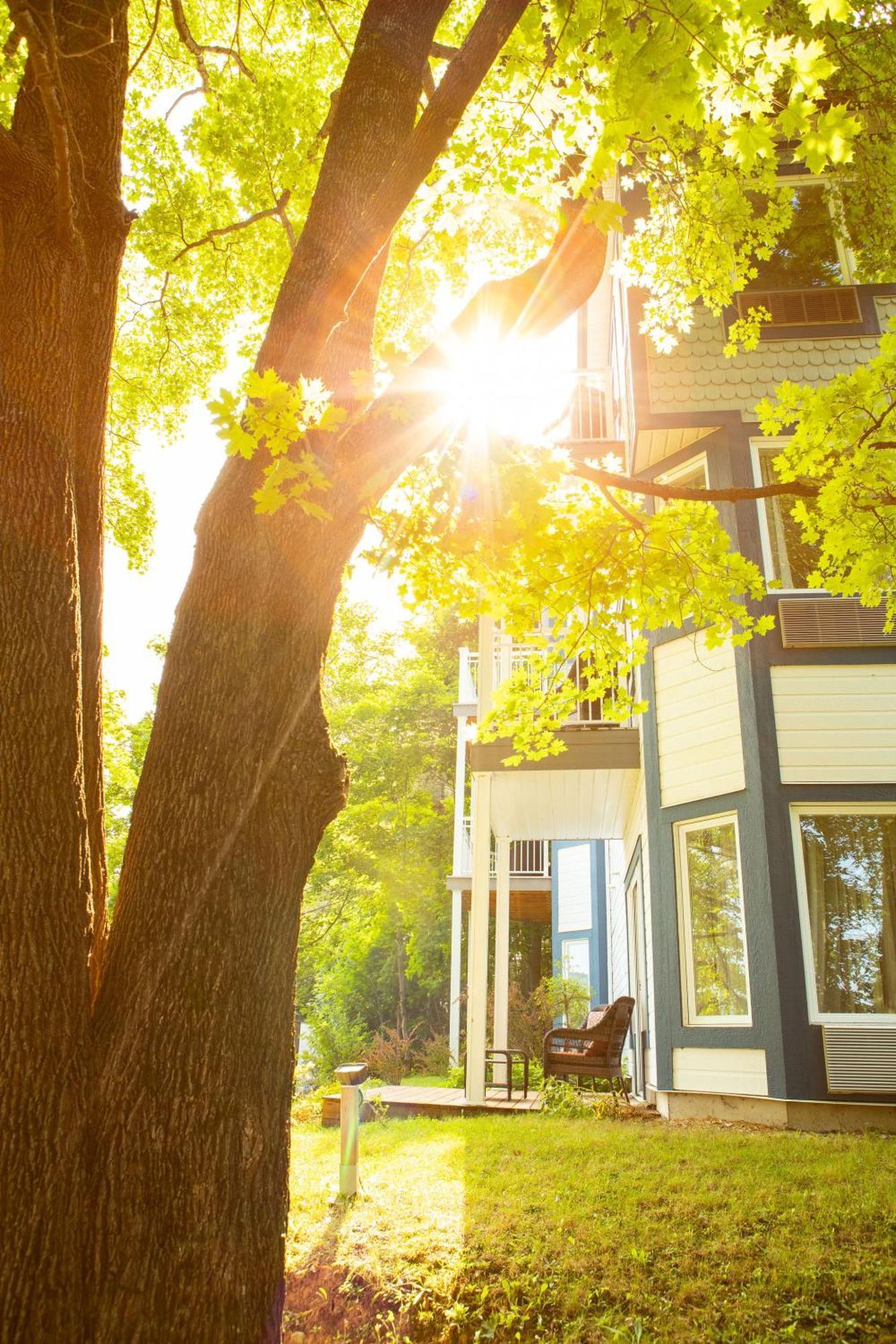 Auberge Sous Les Arbres Gaspe Bagian luar foto